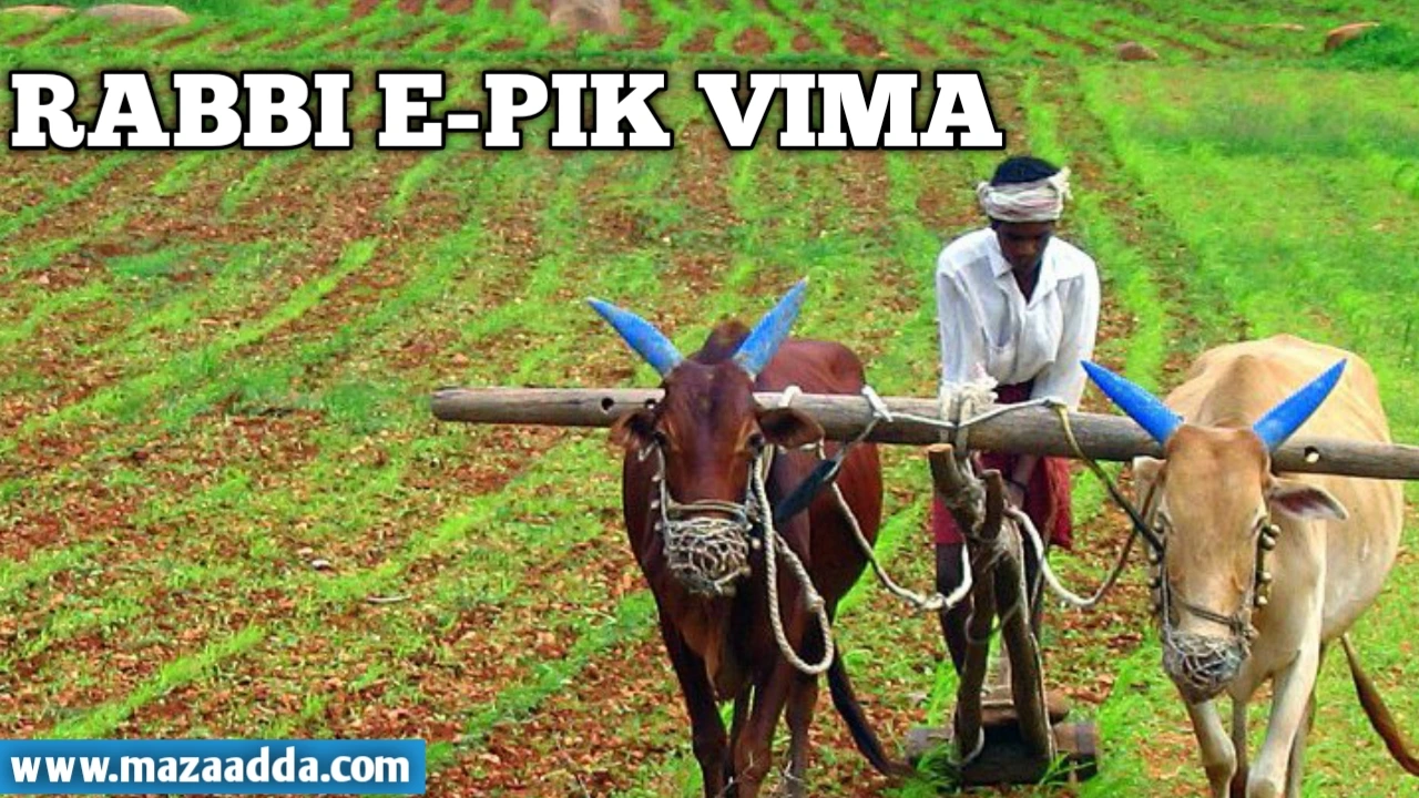 RABBI E-PIK VIMA 2024